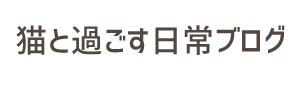 猫と過ごす日常ブログ